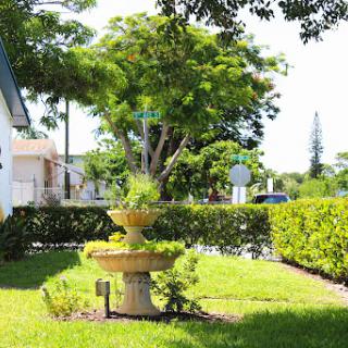 A serene garden featuring a decorative fountain surrounded by lush greenery.