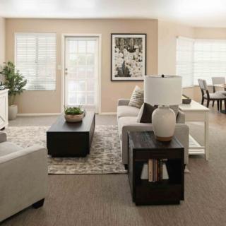 A modern and cozy living room with neutral tones and abundant natural light.