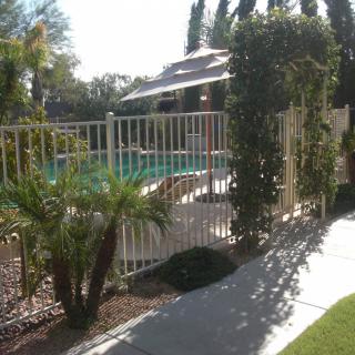 A sunny outdoor scene featuring a fenced pool area surrounded by palm trees and a paved pathway.