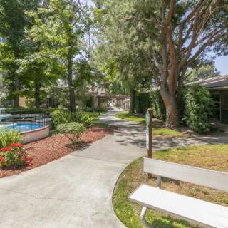 A peaceful garden with a winding pathway, benches, and lush greenery.