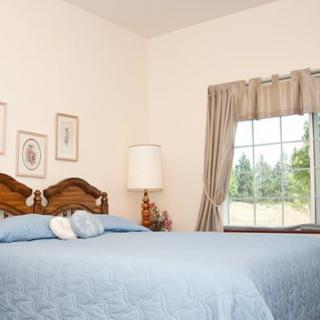 A cozy bedroom with a large bed, ornate headboard, and a lamp by the window.