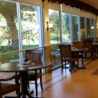 A cozy cafe interior with tables and chairs by large windows letting in daylight.