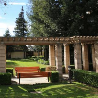A peaceful garden with a wooden pergola and benches surrounded by lush greenery.