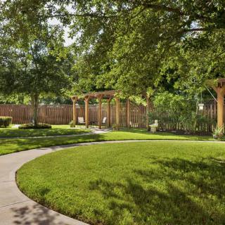 A serene garden with a winding pathway and lush greenery under a pergola and trees.
