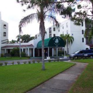 A hotel entrance with a green canopy and palm trees lining the driveway.