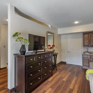 A cozy bedroom interior with a dresser topped by a television and decorative plants, accompanied by warm wood flooring.