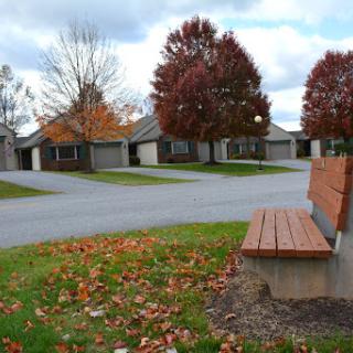 A serene neighborhood scene featuring a wooden bench surrounded by autumn leaves and vibrant trees.