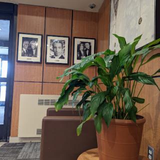 A welcoming lobby area featuring a vibrant plant and framed photographs on the wall.