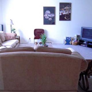 A cozy living room featuring a sofa, television, and decorative artwork on the walls.