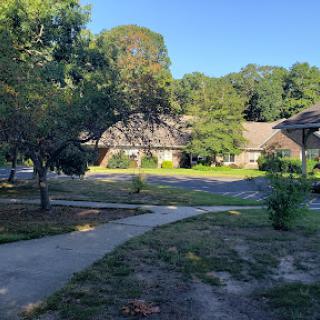 A serene view of a walking path winding through a residential area with lush trees and clear blue skies.