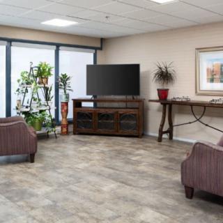 A modern waiting room with comfortable seating, a television, and plants, illuminated by natural light.