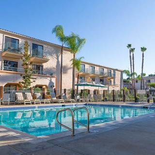 A tranquil outdoor swimming pool area in a hotel setting, surrounded by palm trees and lounge chairs on a sunny day.