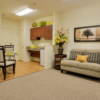 A cozy living space featuring a sofa, dining area, and kitchenette with modern decor and plants.