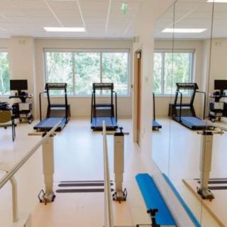 A bright and empty gym with treadmills facing large windows, surrounded by mirrors.
