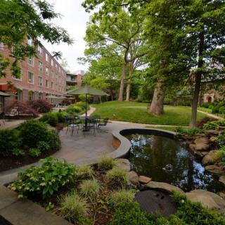 A peaceful garden with a pond and patio furniture surrounded by lush greenery and trees.
