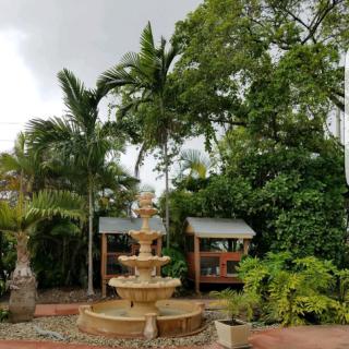 A serene garden featuring a beautiful fountain surrounded by lush greenery.