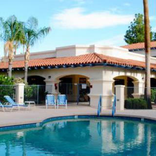 A sunny day by the poolside with a tropical-themed building and palm trees in the background.