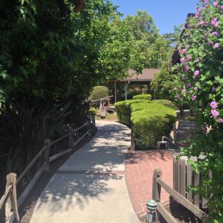 A scenic garden pathway lined with trees and bushes on a sunny day.