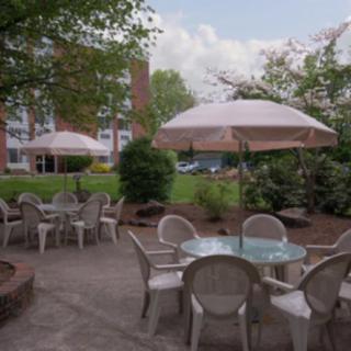 A cozy outdoor patio area with tables, chairs, and umbrellas surrounded by greenery.