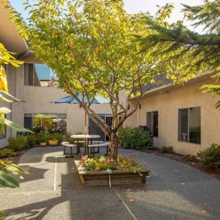 A sunny courtyard with a central tree and seating area surrounded by a building.