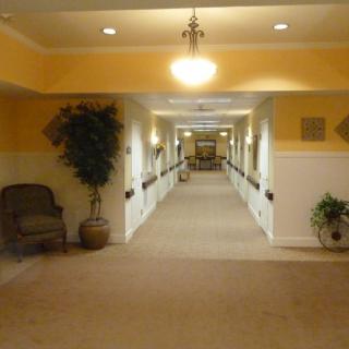 A well-lit hallway with chairs and plants along the walls.