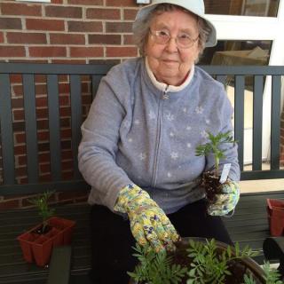 An elderly woman wearing gardening gloves is sitting on a bench, planting flowers.
