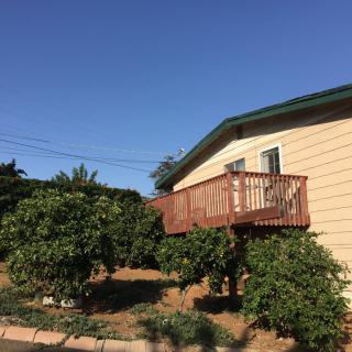 A house with a wooden deck surrounded by lush greenery under a clear blue sky.