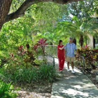 A couple walking along a lush garden pathway under the shade of trees.