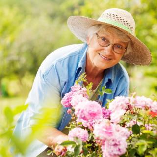 A woman enjoying gardening, surrounded by vibrant flowers on a sunny day.