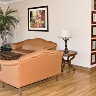 A cozy living room with a comfortable sofa, a decorative lamp, and a touch of greenery.