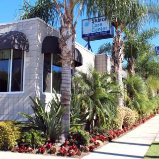 A well-landscaped building with palm trees and a sidewalk on a sunny day.