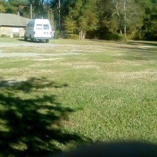 A parked van in a grassy area surrounded by trees.