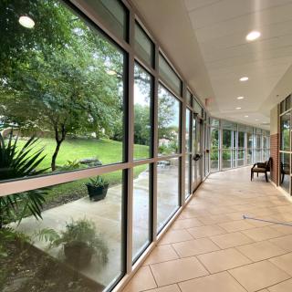 A modern hallway with large glass windows offering a serene view of the lush green outdoors.