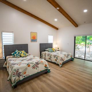 A modern bedroom with two double beds, featuring wood flooring and large windows allowing natural light.