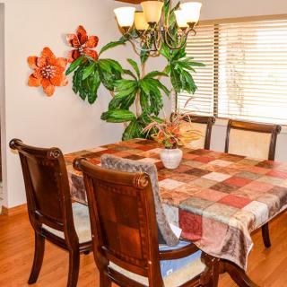 A cozy dining room with a patterned tablecloth, decorative indoor plants, and a chandelier.