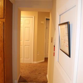 A well-lit hallway with carpeted flooring and several doors, featuring a framed picture on the wall.