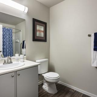 A modern bathroom with a sink, toilet, and decorative elements.