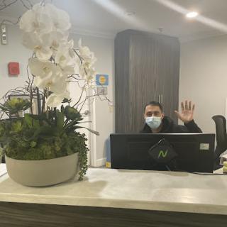 A receptionist greets visitors at the office while seated behind a desk with a decorative plant.