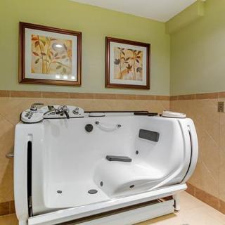 A modern, spa-like bathtub in a well-decorated bathroom.