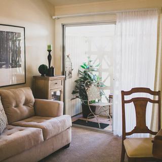 A cozy living room with a sofa, chair, and indoor plants by a glass doorway.
