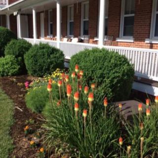 A neatly landscaped garden with flowering plants and well-trimmed bushes in front of a building with a porch.