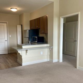 An apartment interior featuring a kitchen with wooden cabinets and a countertop, opening to a carpeted living area.