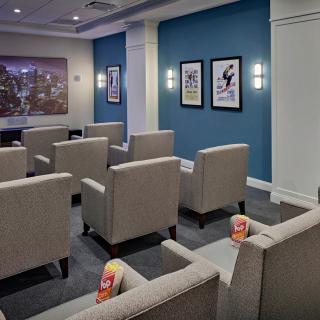 A modern indoor theater with comfortable seating and decorative artwork on the walls.
