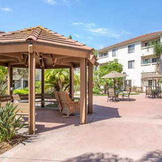 A sunny outdoor area with a gazebo and seating, surrounded by lush greenery and a multi-story building in the background.