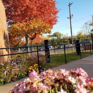 A beautiful autumn scene featuring vibrant fall foliage and blooming flowers.