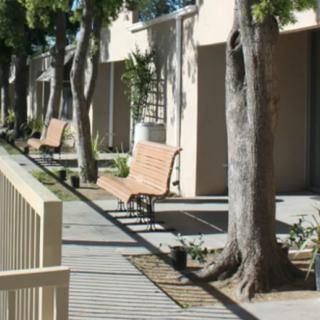 A row of wooden benches along a tree-lined sidewalk next to a building, casting shadows on a sunny day.