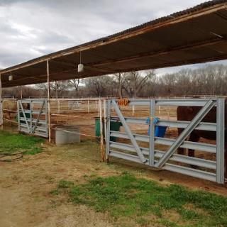 A view of a livestock barn with fences and animal pens.