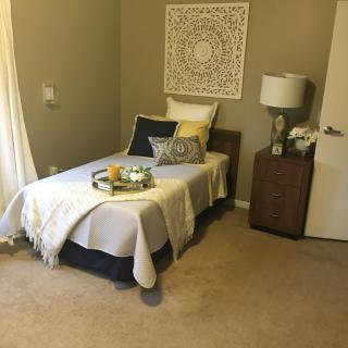 A cozy modern bedroom with a single bed, decorative pillows, and elegant wall art.