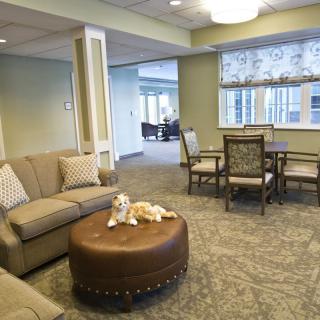 A cozy living room with comfortable seating and elegant decor.