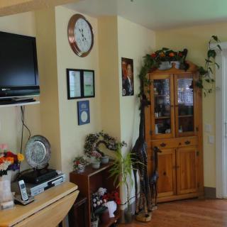 A cozy living room corner with a wooden cabinet, decorative plants, and a wall-mounted television.